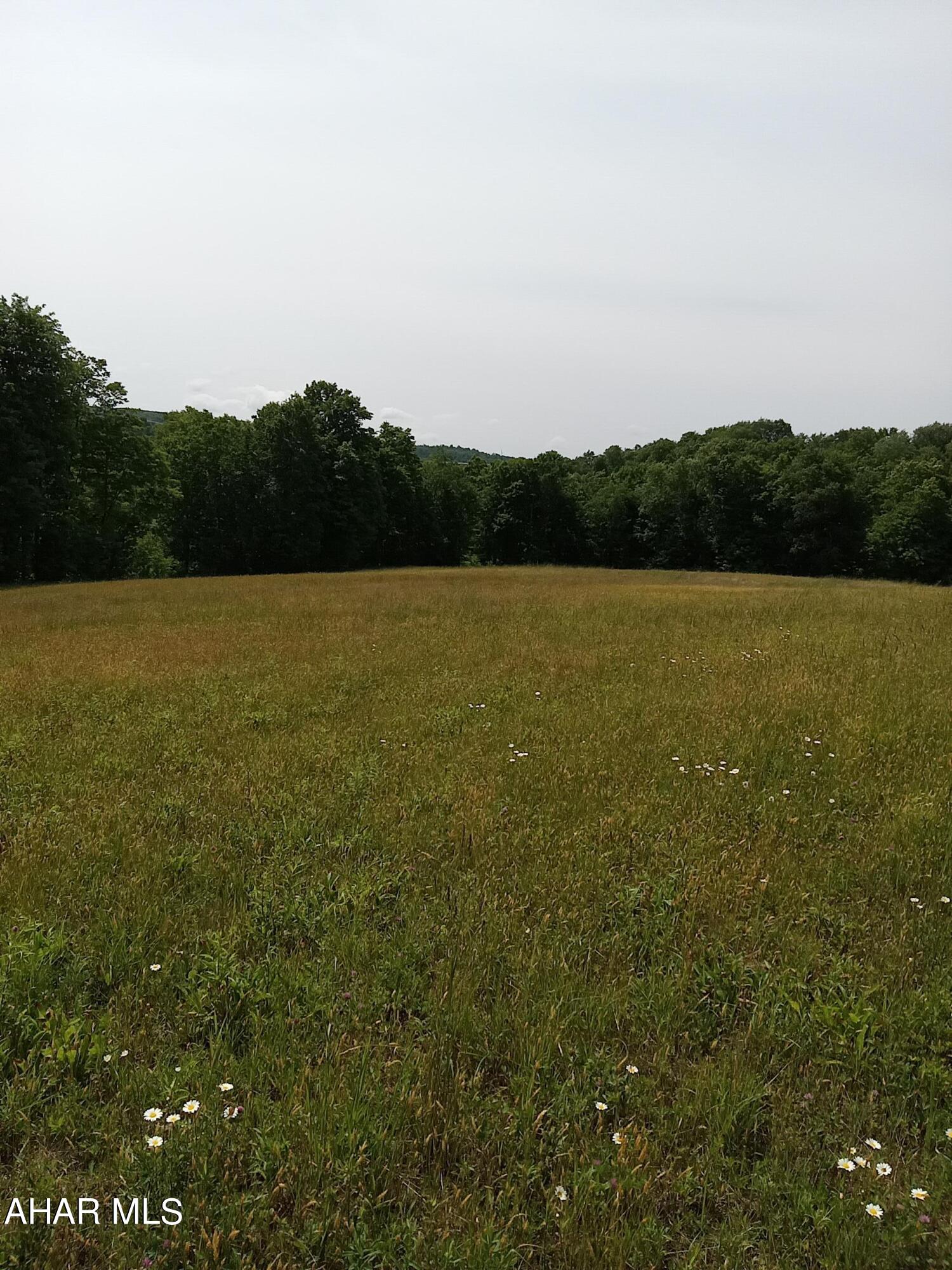 1803 Munster Road Portage, PA 15946 - Photo 27 of 37