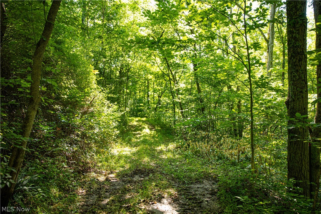 27339 Tabor Ridge Road Caldwell, OH 43724 - Photo 36 of 50