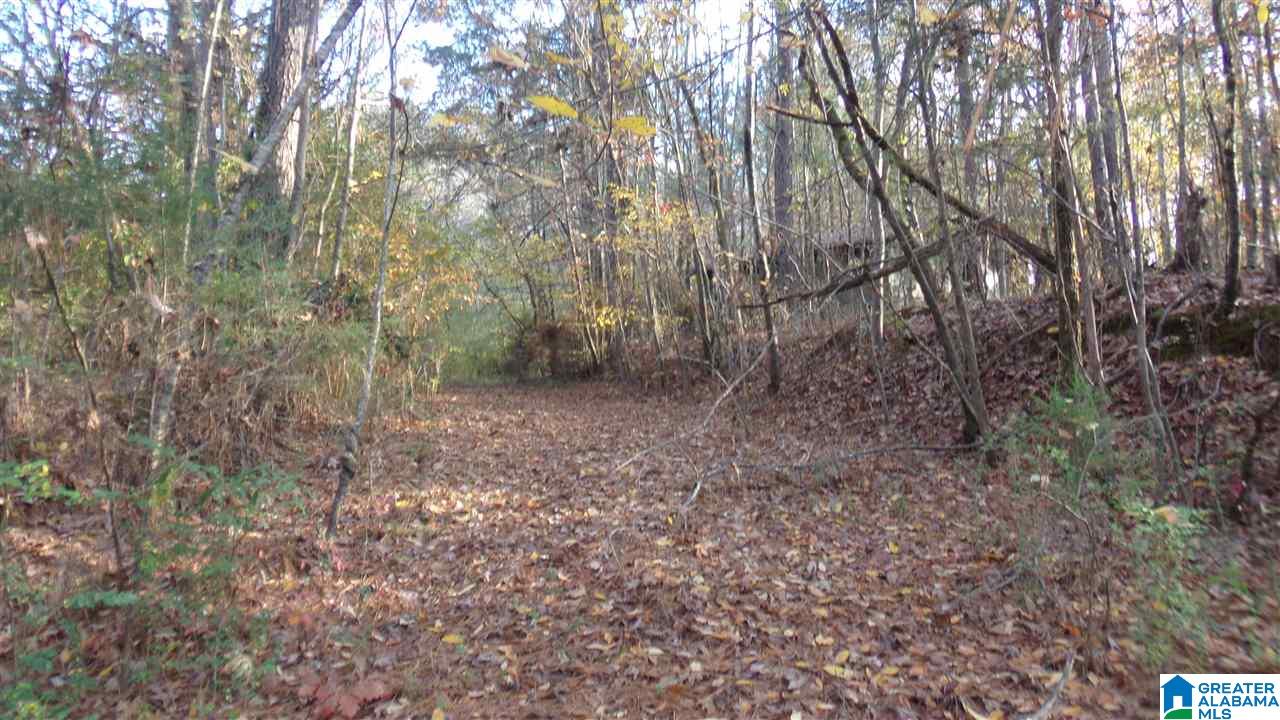 20065 Pleasant Grove Road Vance, AL 35490 - Photo 2 of 3