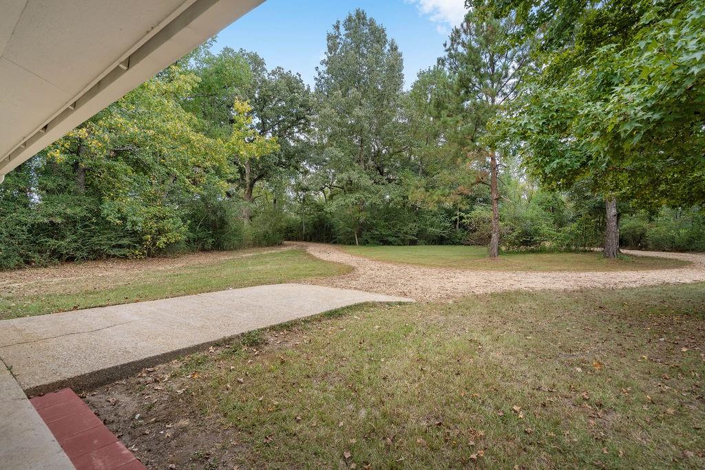 928 Horseshoe Road West Amite, LA 70422 - Photo 2 of 16 Gallery Image 2
