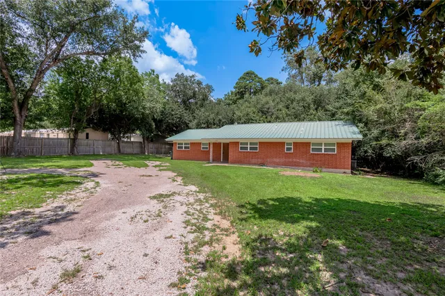a view of a yard with plants and large trees