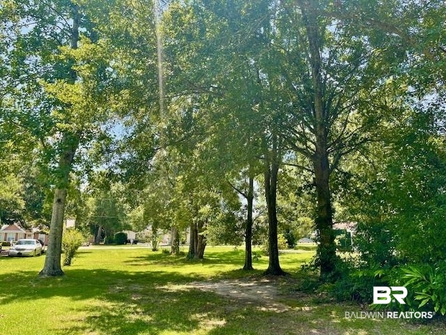 0 West Carolyn Avenue Foley, AL 36535 - Photo 7 of 18