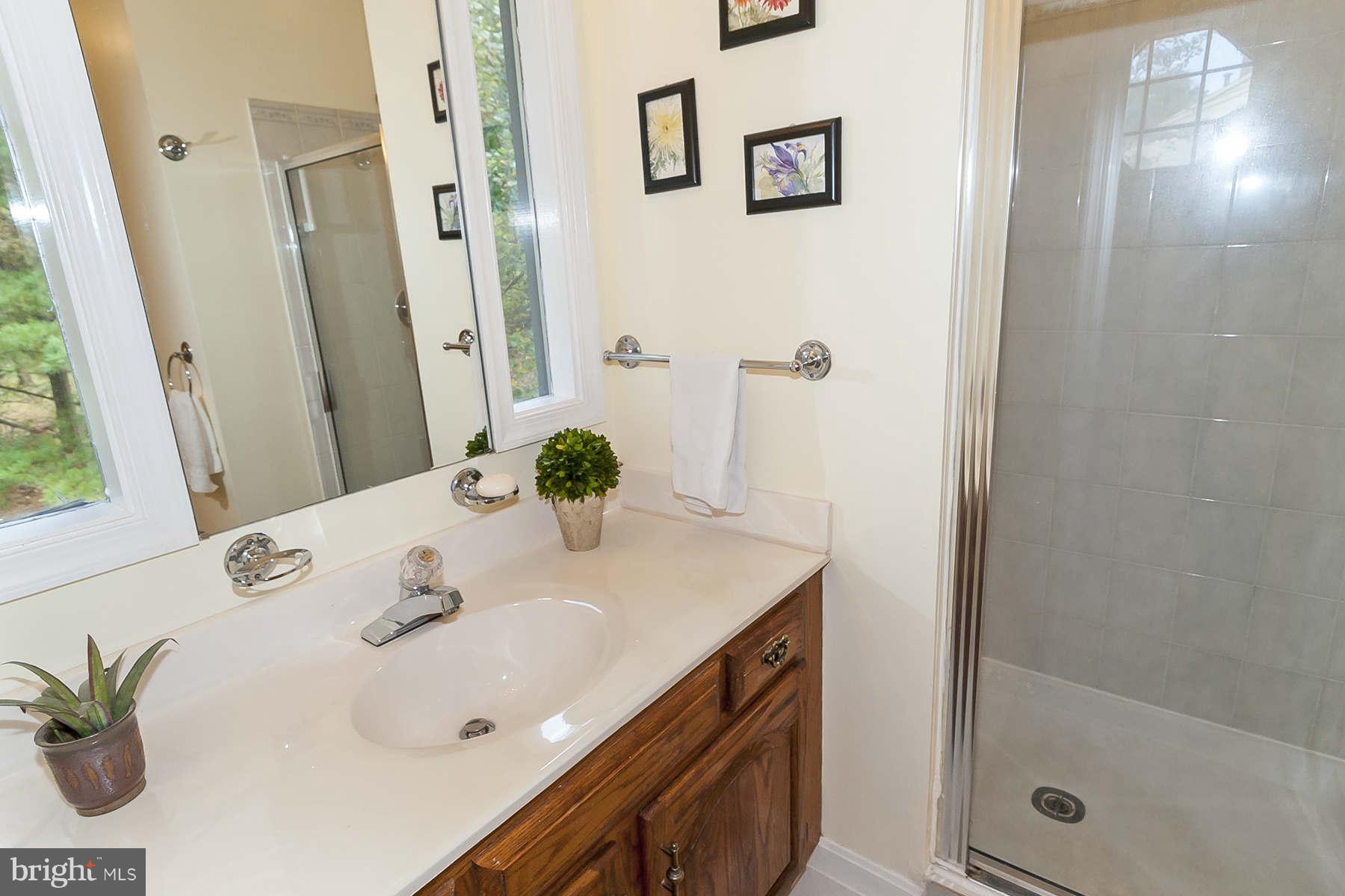 14903 Peach Orchard Road Silver Spring, MD 20905 - Photo 22 of 30 a bathroom with a sink and a mirror