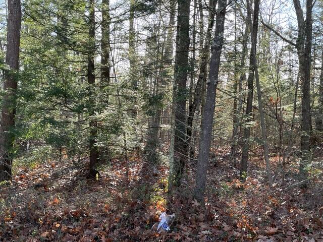 0 Irving Road Arundel, ME 04046 - Photo 4 of 4 IMG_7614