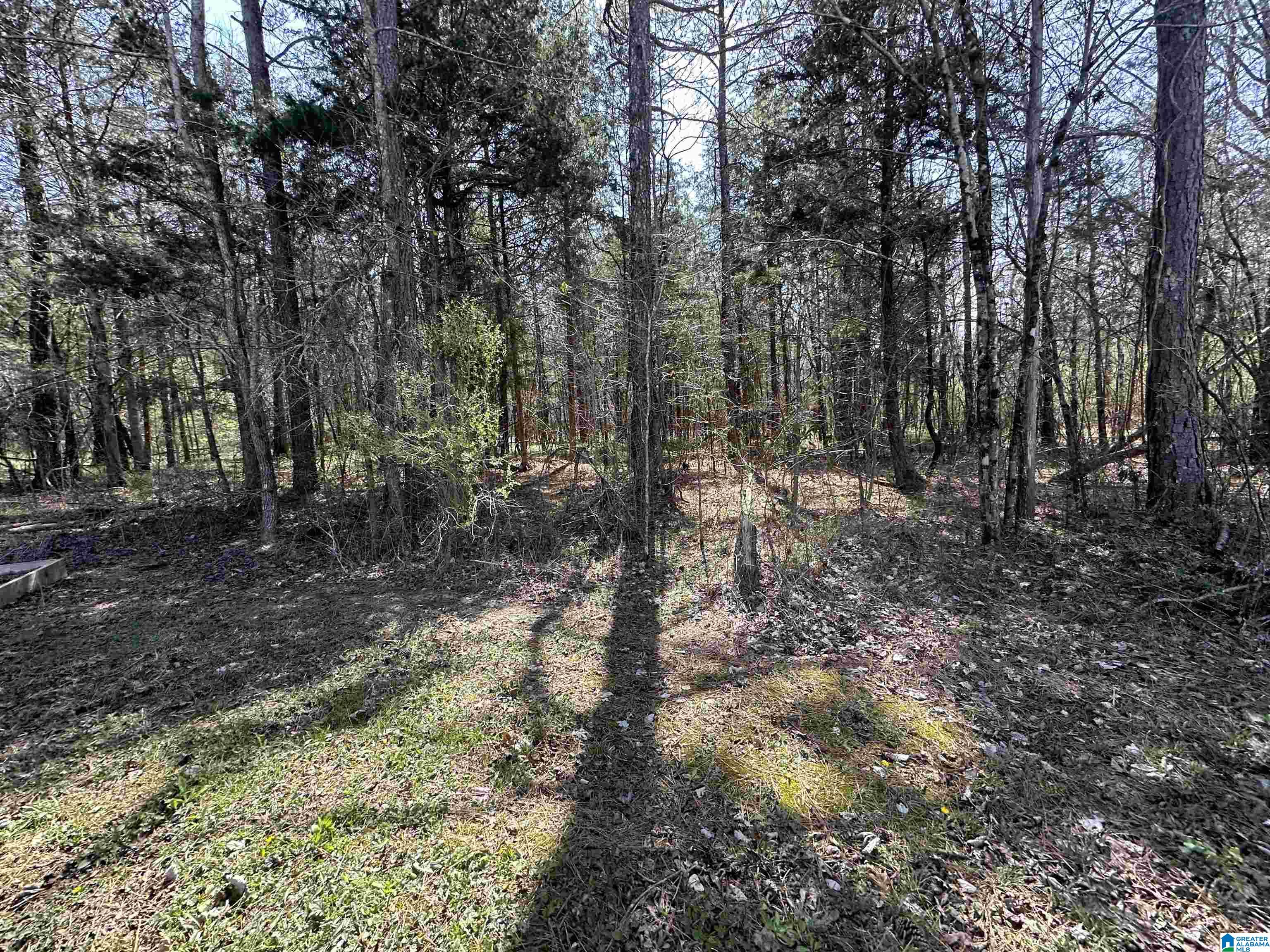 2560 Slasham Road Ashville, AL 35953 - Photo 69 of 77
