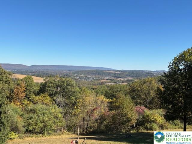 3511 Timber Lane Slatington, PA 18080 - Photo 24 of 27 a view of an outdoor space