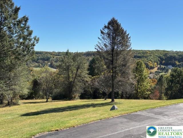 3511 Timber Lane Slatington, PA 18080 - Photo 26 of 27 a view of outdoor space and yard