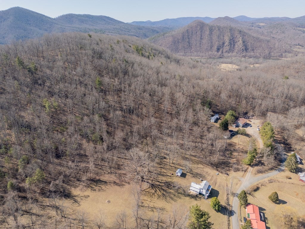 2161 Loafers Rest Road Austinville, VA 24312 - Photo 96 of 96 Gallery Image 96