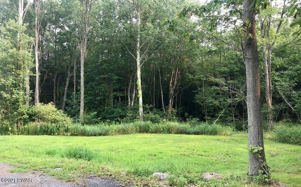 240 Faller Road Lake Ariel, PA 18436 - Photo 12 of 46 side yard