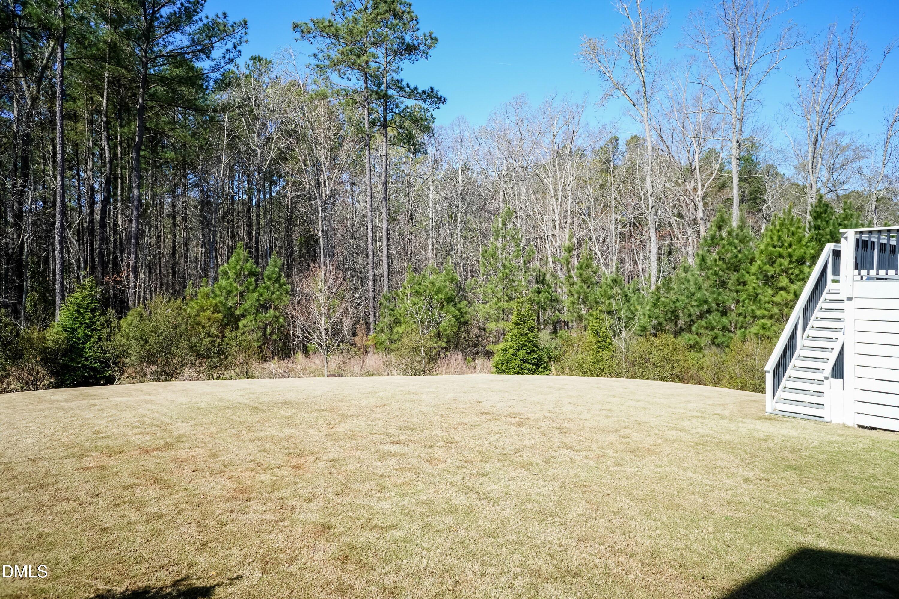 441 Bertram Valley Road Apex, NC 27523 - Photo 7 of 77 Back Yard 01