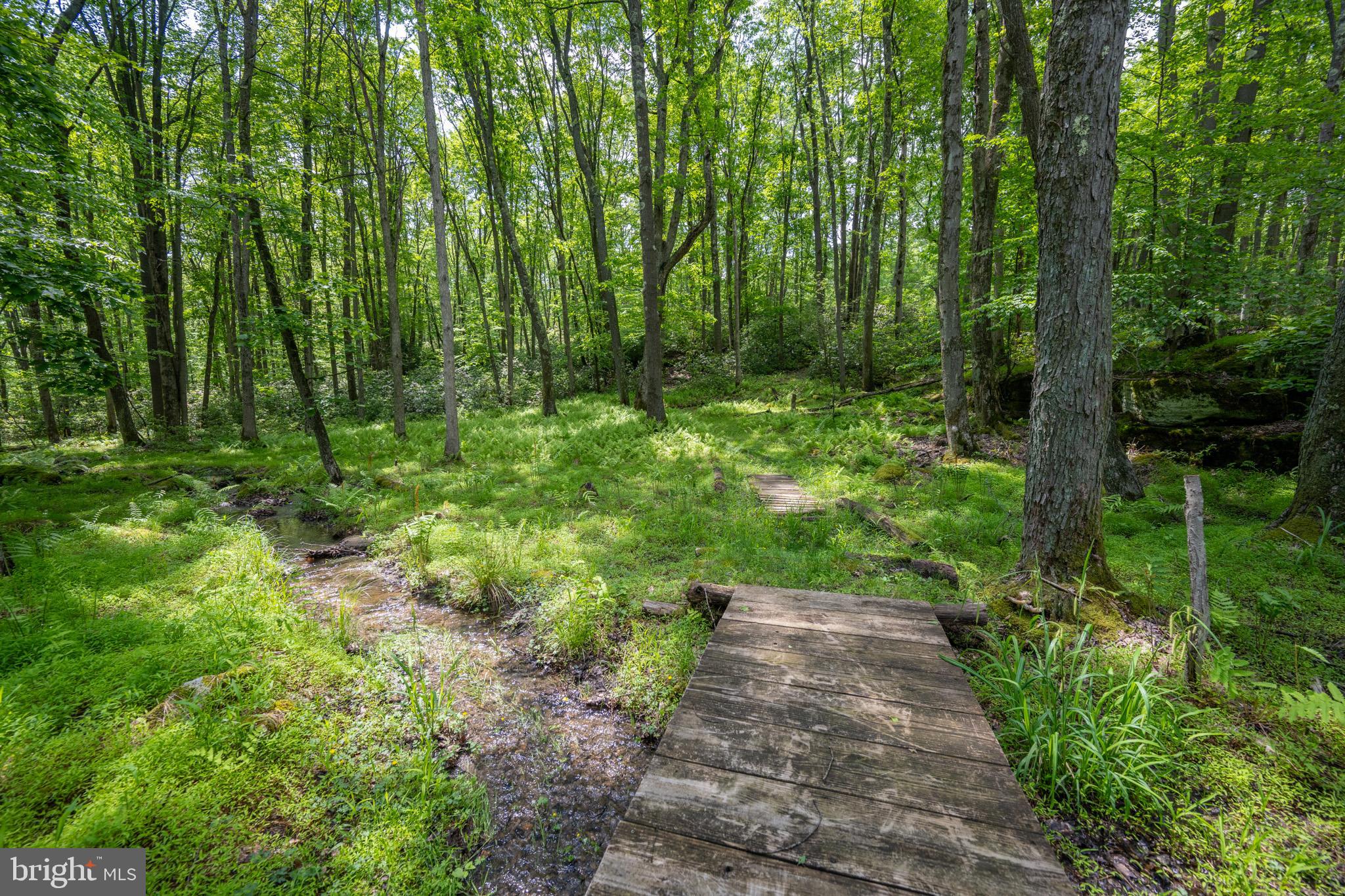 328 Stool Rock Road Oakland, MD 21550 - Photo 89 of 133 a view of backyard with green space