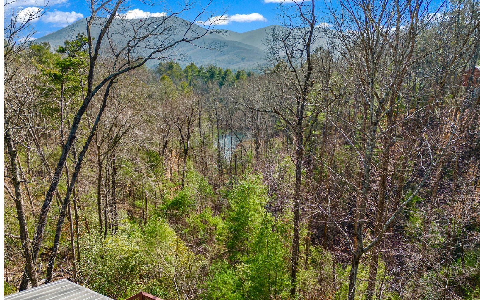 1822 Hidden Lake Court Cherry Log, GA 30522 - Photo 12 of 42 Additional View
