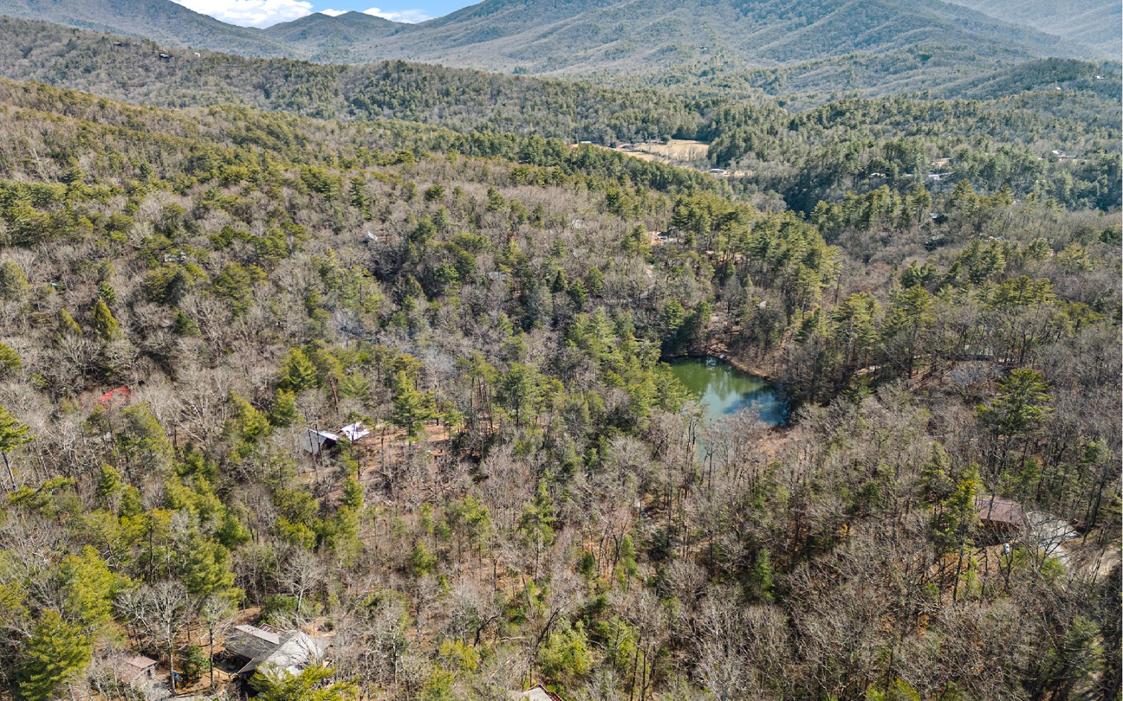 1822 Hidden Lake Court Cherry Log, GA 30522 - Photo 13 of 42 Additional View