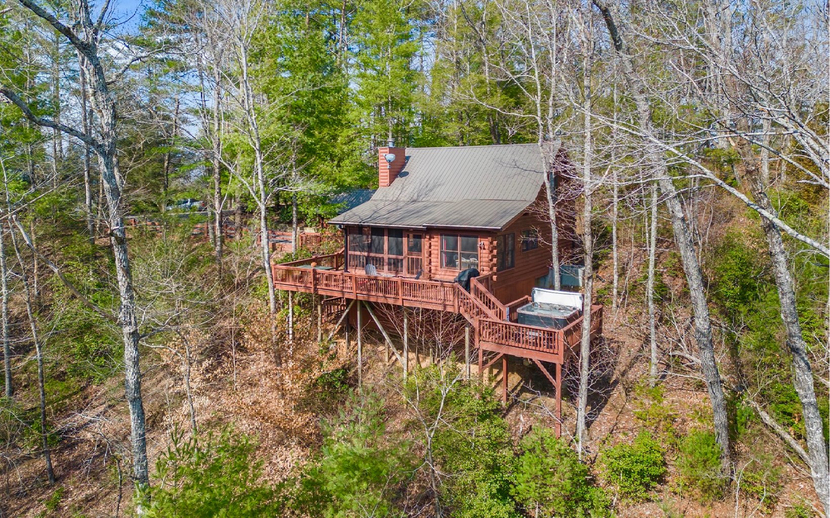 1822 Hidden Lake Court Cherry Log, GA 30522 - Photo 2 of 42 Additional View
