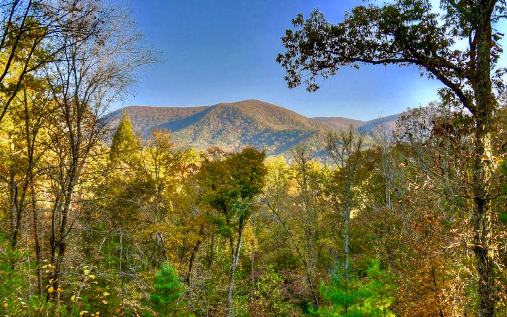 1822 Hidden Lake Court Cherry Log, GA 30522 - Photo 37 of 42 Additional View