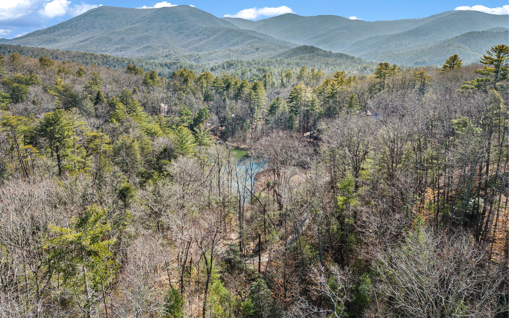 1822 Hidden Lake Court Cherry Log, GA 30522 - Photo 40 of 42 Additional View