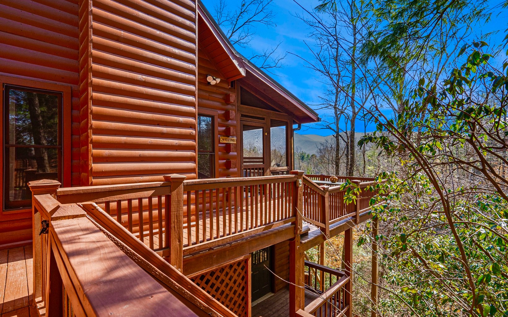 1822 Hidden Lake Court Cherry Log, GA 30522 - Photo 4 of 42 Additional View