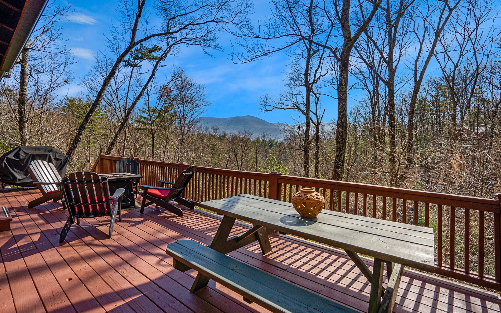 1822 Hidden Lake Court Cherry Log, GA 30522 - Photo 8 of 42 Additional View