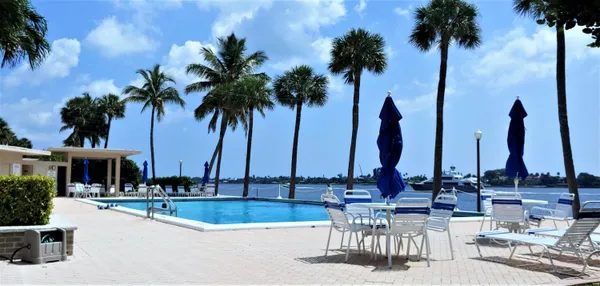 a view of outdoor space with palm trees