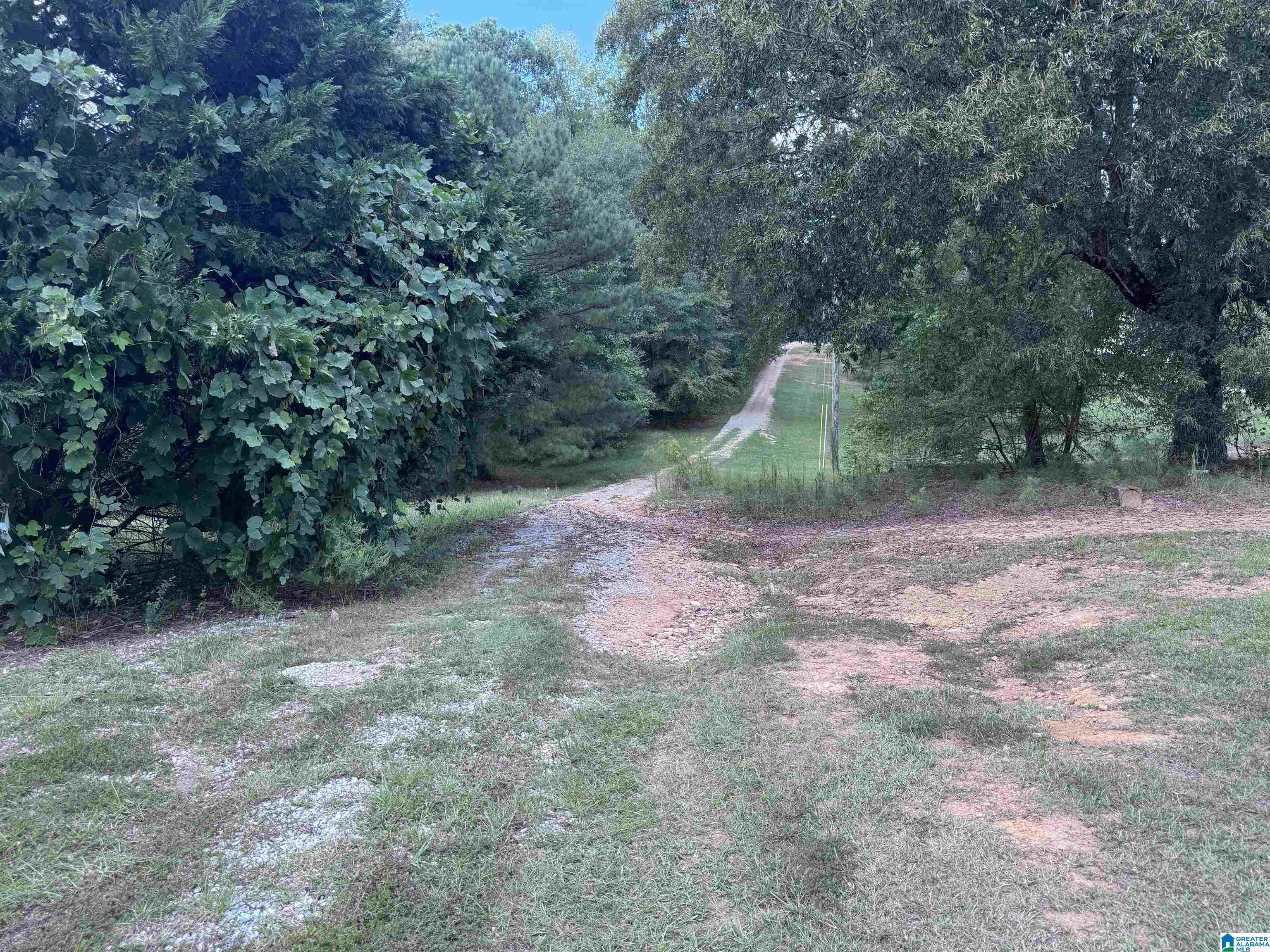 0 Highway 39 Chelsea, AL 35043 - Photo 1 of 4