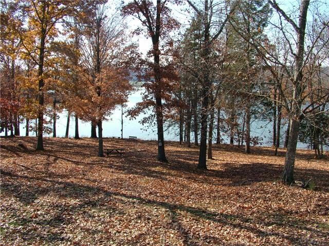 View from Front Porch