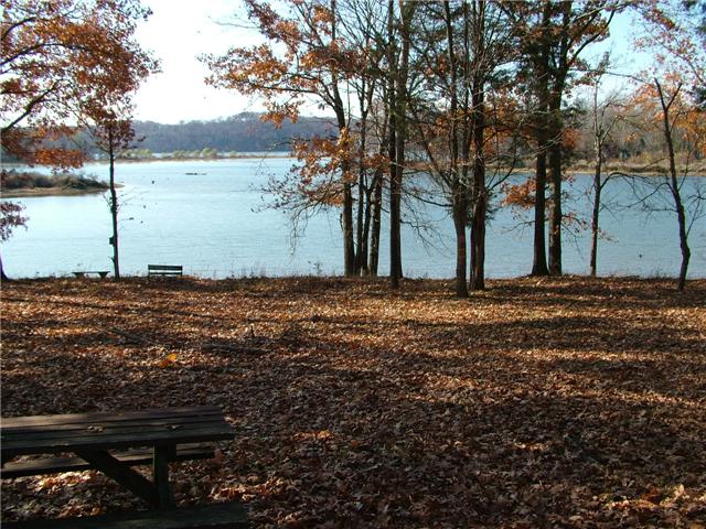 Just a Walk Away from the Lake