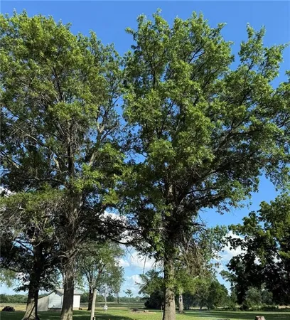 $30,000 | 701 2nd Street, LeRoy, KS 66857