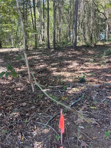 a flag is sitting in the middle of forest