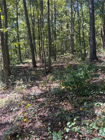 a view of outdoor space and trees