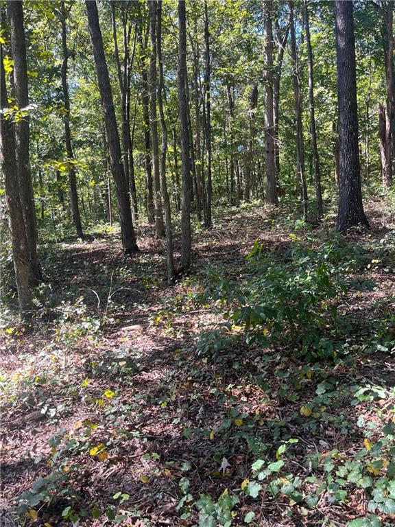 0 Fairview Farm Circle Lavonia, GA 30553 - Photo 4 of 7