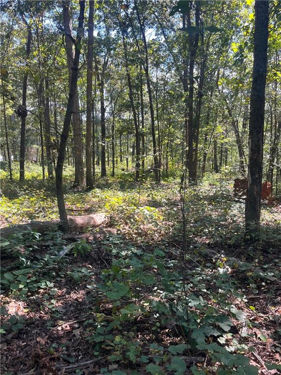 0 Fairview Farm Circle Lavonia, GA 30553 - Photo 5 of 7