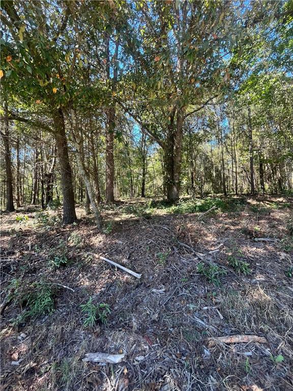 0 Fairview Farm Circle Lavonia, GA 30553 - Photo 6 of 7