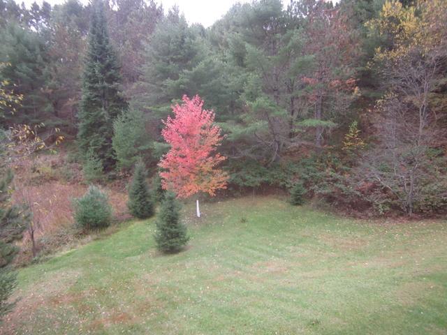 4859 Ridge Road Rhinelander, WI 54501 - Photo 18 of 19 Gallery Image 18