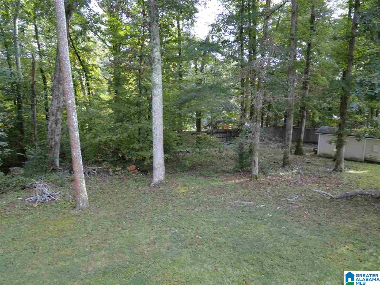 120 Lee Street Springville, AL 35146 - Photo 11 of 23