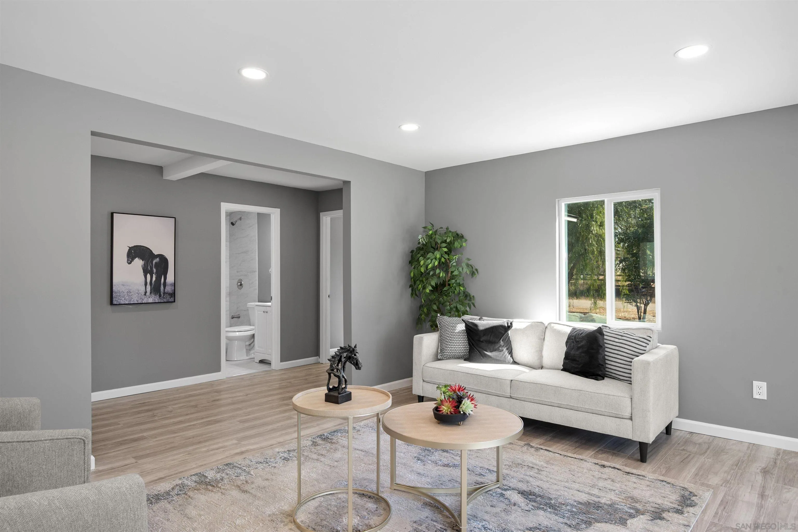 2235 Toub Street Ramona, CA 92065 - Photo 9 of 33 a living room with furniture and a potted plant