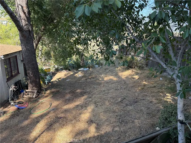 a view of a lush green space