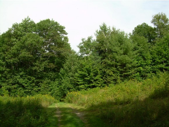 0 Rt 2 Shelburne, NH 03581 - Photo 2 of 12