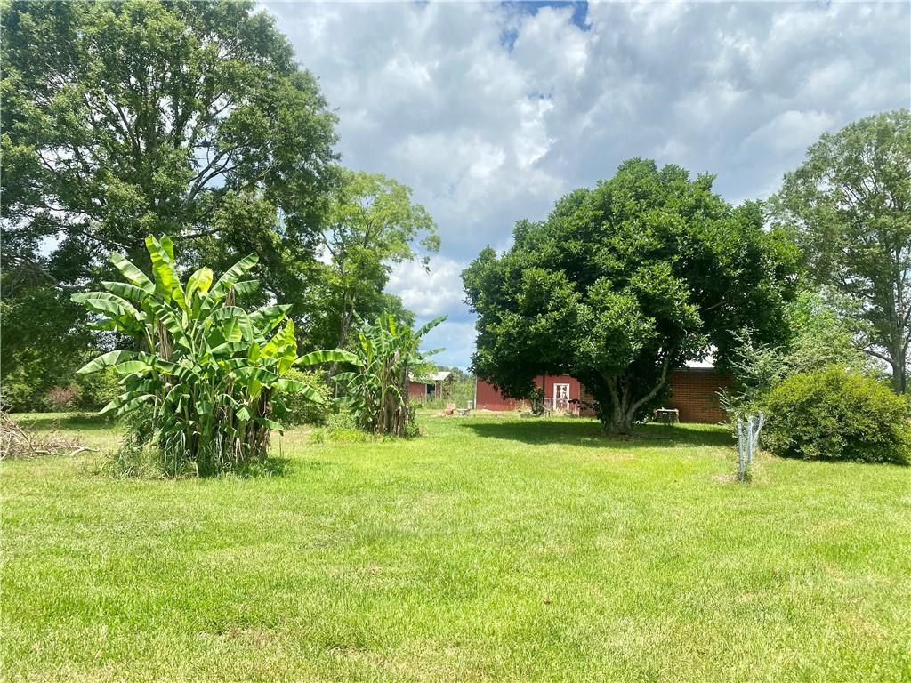 63535 Roch Road Roseland, LA 70456 - Photo 17 of 19 Gallery Image 17