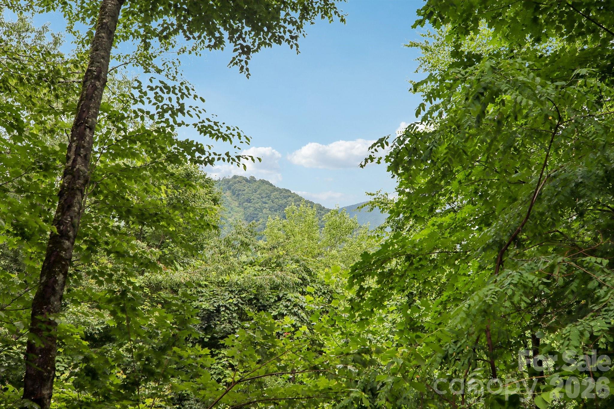 1061 Setzercove Road Maggie Valley, NC 28751 - Photo 41 of 48