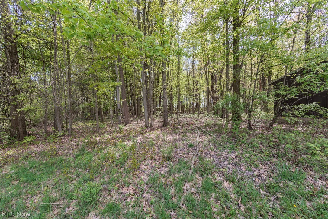 2170 Norton Road Stow, OH 44224 - Photo 20 of 48 Wooded lot with mature trees and natural ground cover