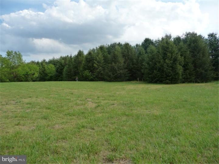 2266 Halltown Road Hartly, DE 19953 - Photo 22 of 25 Back Yard