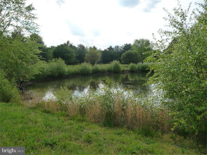 2266 Halltown Road Hartly, DE 19953 - Photo 23 of 25 Lake / Pond
