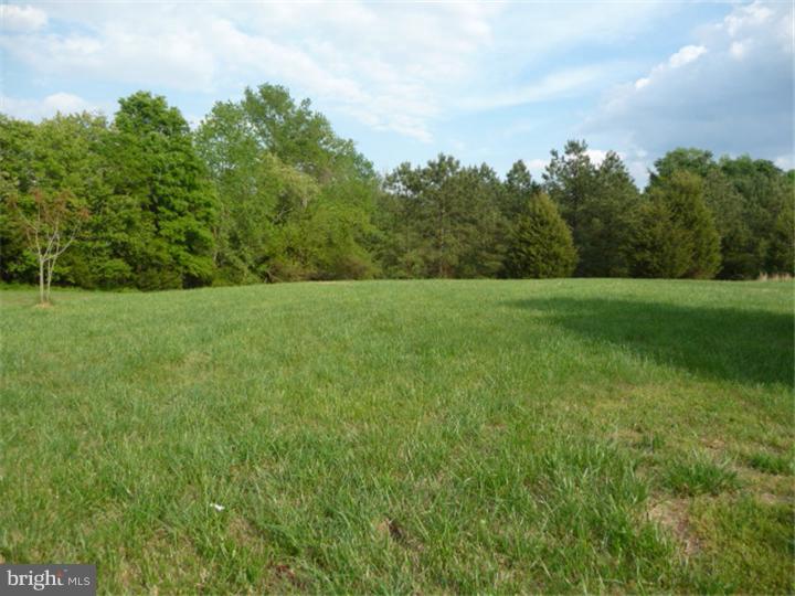 2266 Halltown Road Hartly, DE 19953 - Photo 24 of 25 Back Yard