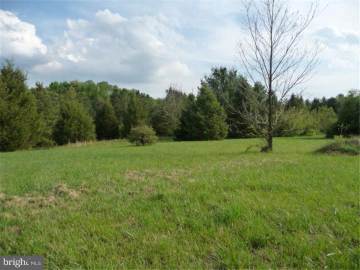 2266 Halltown Road Hartly, DE 19953 - Photo 25 of 25 Back Yard