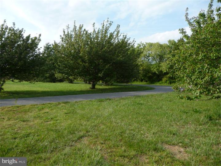 2266 Halltown Road Hartly, DE 19953 - Photo 6 of 25 Driveway