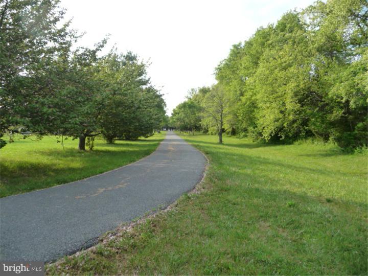 2266 Halltown Road Hartly, DE 19953 - Photo 7 of 25 Driveway