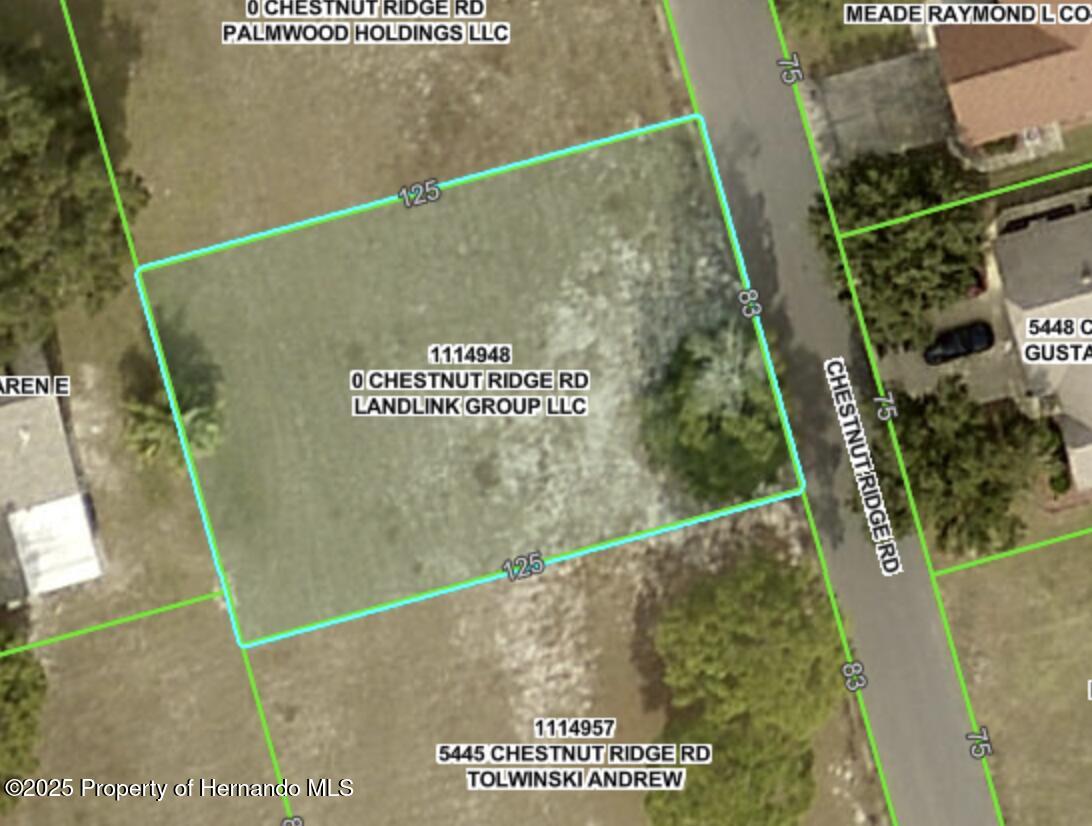 5449 Chestnut Ridge Road Dade City, FL 33523 - Photo 2 of 7