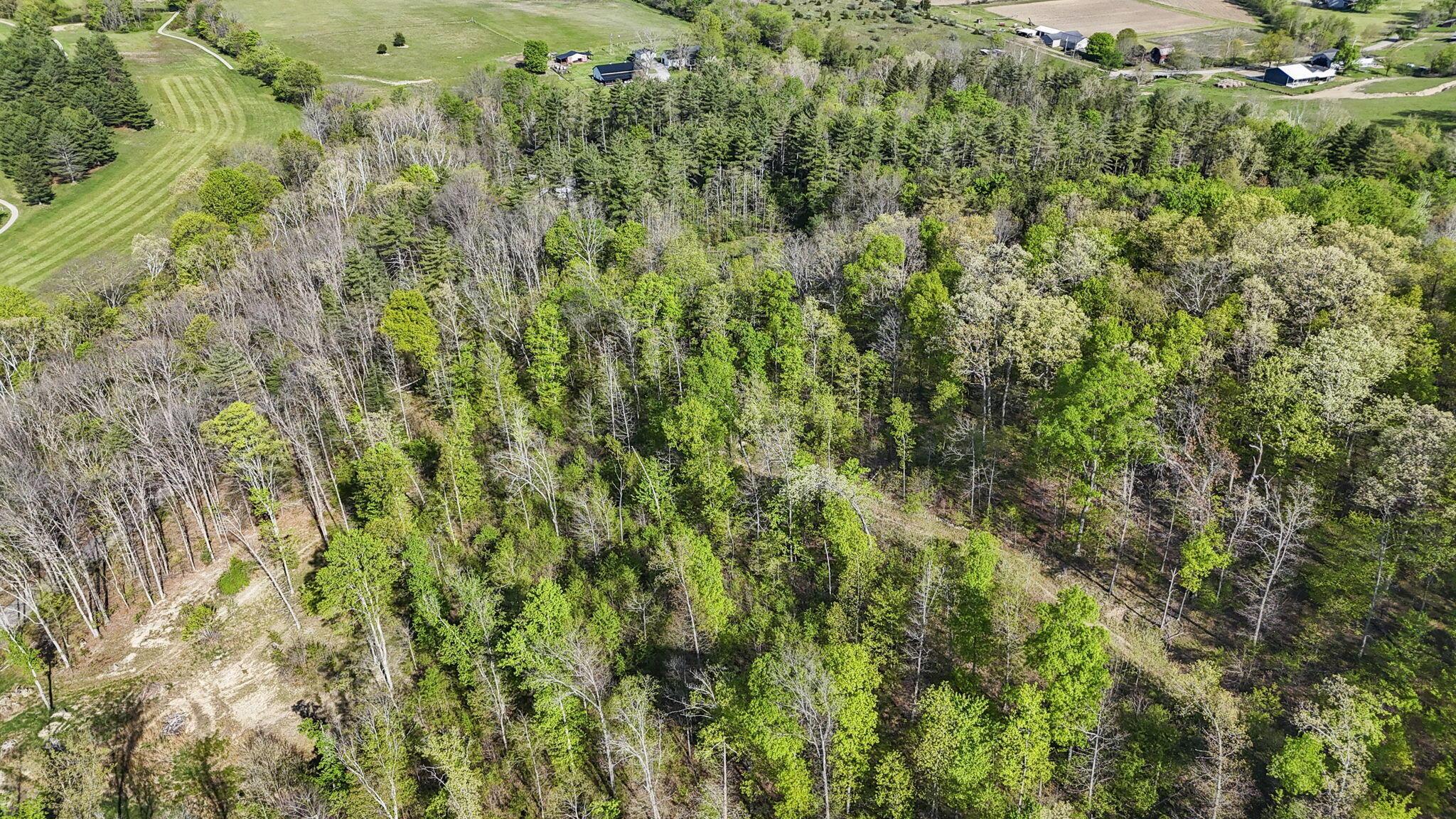 1588 Debord Road Chillicothe, OH 45601 - Photo 16 of 33 19-web-or-mls-DJI_20260423095613_0021_D