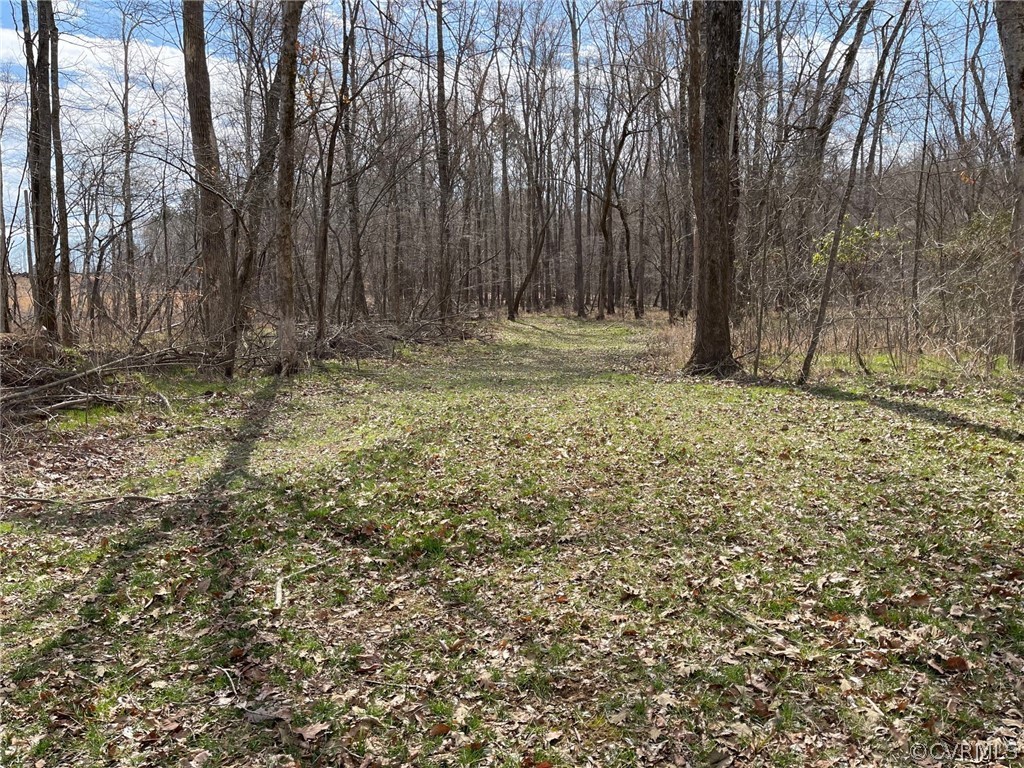 Xx Lodore Road Amelia Court House, VA 23002 - Photo 8 of 11 Gallery Image 8