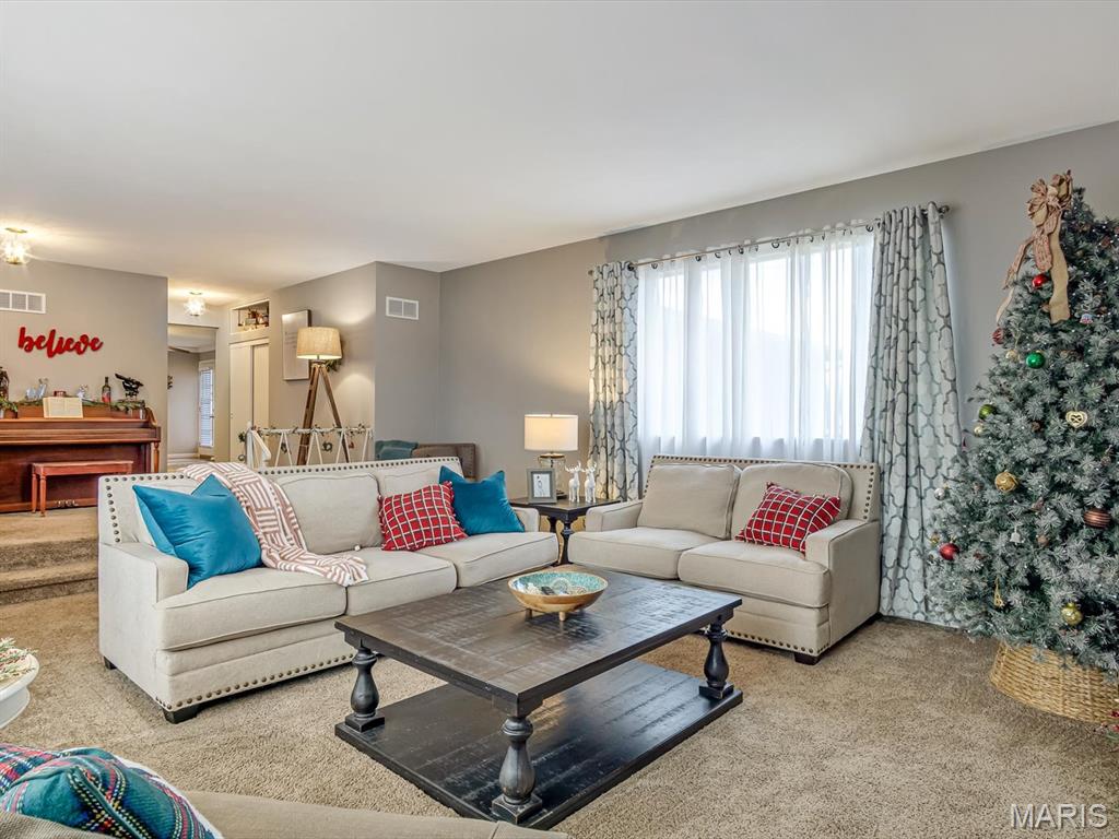 8 Terrace Lane Granite City, IL 62040 - Photo 6 of 27